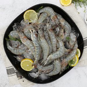 [은하수산] 국내산 활 새우 1kg (35-39미) 신안 산지직송