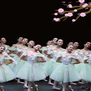 여아용 로맨틱 투투 지젤 발레 의상, 벨벳 얇은 명주 그물 스케이트 드레스, 발레리나 버블 반팔, 레이스업 여름 드레스