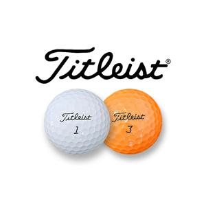 [초특가] 타이틀리스트 프리미엄 골프공 10구, A-/B급 화이트 로스트볼, 가성비 갑