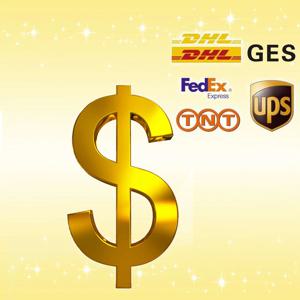 GOINGGO 공식 매장에서 주문에 기타 또는 빠른 배송 추가 요금 추가