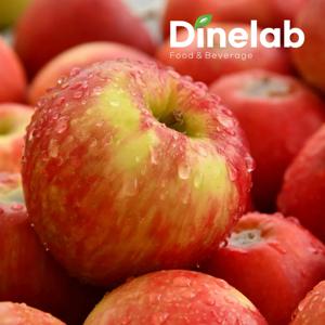 event_[열매나무] 경북사과/쥬스용 부사 사과 4kg