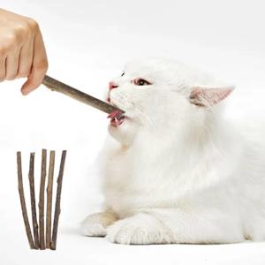 고양이를 위한 실버바인 스틱 천연 캣닢 씹는 장난감 치아 및 어금니 씹기 장난감 고양이 새끼 고양이 선물