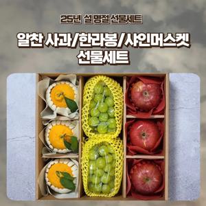 [푸디앤] 알찬 사과/한라봉/샤인머스켓 선물세트
