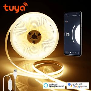 5V USB Tuya 스마트 라이프 WiFi COB LED 스트립, 1M 2M 3M 5M 흰색/따뜻한 흰색 디밍이 가능한 COB LED 스트립 조명 Alexa Google 홈으로 작동