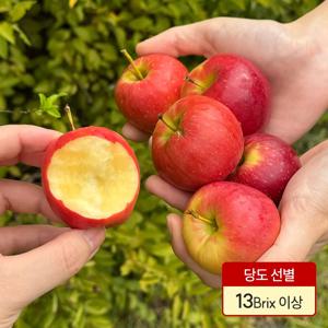 신선미가 고당도 미니사과 루비에스 꼬마사과 영천 산지직송 2kg 중과 (1kg당 25~30수)