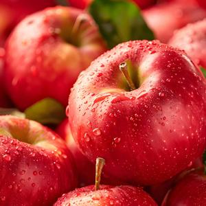 event_Onfresh 경북 가정용 햇 부사 사과 4kg