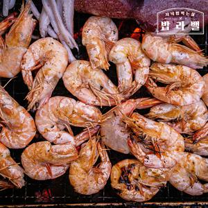 산지직송 신안 흰다리새우 사이즈별 크기 대/중