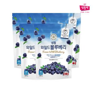 [생활앤] 냉동 와일드 블루베리(캐나다) 500g x 5팩