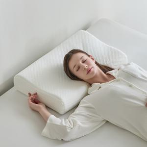 [겉커버제공][1+1]알러씰 텐셀 진드기차단 방수 메모리폼 베개 40x60cm