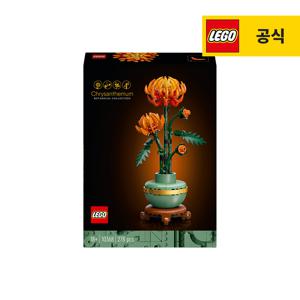 보태니컬 10368 국화