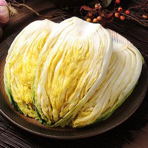 [고창직송] 황토 절임배추 20kg 7~9포기 국내산 소금 사용