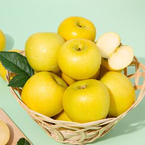 [더조은] 황금사과 시나노골드 가정용 2kg 7-9과