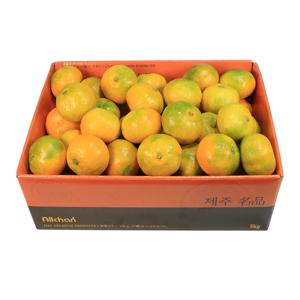 [삼다몰]제주 노지 감귤 선물세트 5kg 10kg
