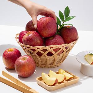 [더조은] 햇사과 경북직송 감홍사과 (가정용) 2kg/3kg/5kg