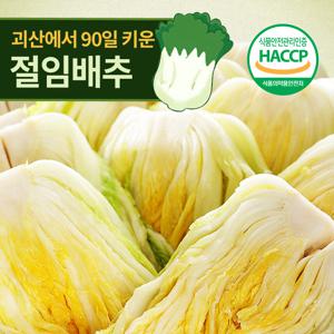 [예약배송] HACCP인증 괴산 절임배추 20kg