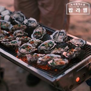 남해안 여수 제철 석화 굴 산지직송 5kg