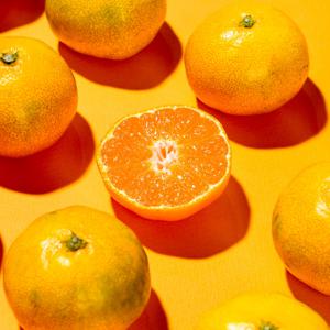 제주 햇 노지감귤 극조생 노지귤 4.5kg 로얄과 외