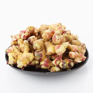 국내산 흙생강 1kg /2kg/3kg/5kg