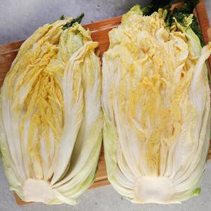 [HACCP인증] 충북 괴산 세척 절임배추 20kg 7-11포기