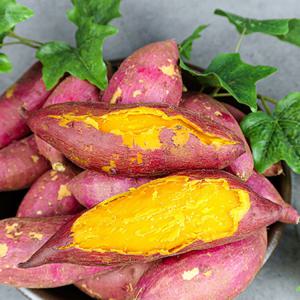 해남 신품종 달콤한 당근고구마 호풍미 3kg (한입) 외