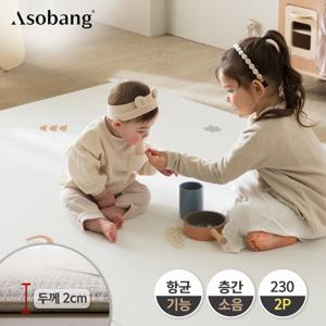 [아소방] 2P 프라임 유아 놀이방매트 피나콜라다 230 230x140x2cm