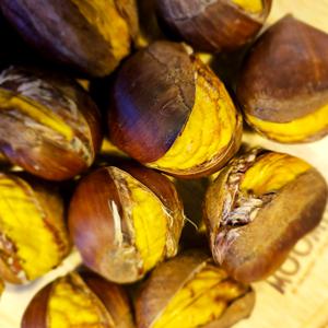 25년 출하 홀딱 벗겨지는 포르단밤 칼집밤 특 4kg 군밤 맛밤