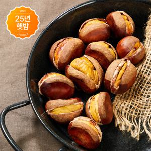 25년 출하 홀딱 벗겨지는 포르단밤 칼집밤 특 2kg