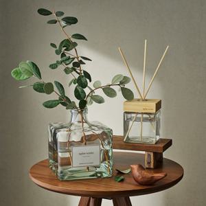 테일러센츠 오브제 디퓨저 화이트포레스트 2L+500ML