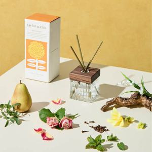 테일러센츠 오브제 디퓨저 일랑일랑허브 200ml