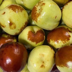 국내산 사과대추  1kg 외 택1 15브릭스이상 아삭한 애플대추 건강간식 아이간식 추천