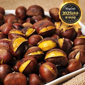 (신선집중) 약단밤 500g (5+1증정) 25년 햇 약단밤 /달콤간식/무료배송