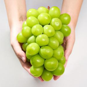 샤인 머스켓 2kg 3-4수 품질좋은 샤인 판매자 마진 생각 안하고 세일 하겠습니다 딱 21시 까지만