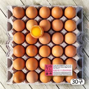 특란 30구 HACCP농가 당일산란 농장직송 달걀 생계란