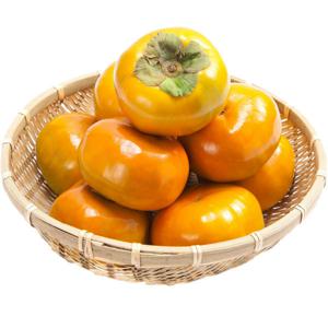 20년 단감 농사 GAP인증 진영단감 부유 감 청림농원 단감말랭이 단감5kg 단감10kg 태추단감 선물세트