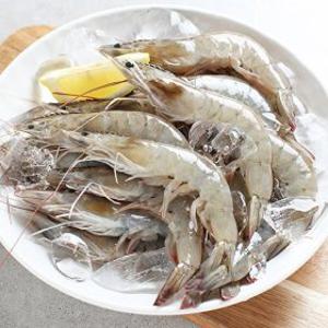 여수밥바다 T 당일조업/산지직송 생물 활새우 1kg(35미 내외)