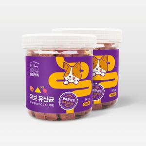 (유산균 영양제 1+1/최종 26160원)마시캣독 큐브 강아지 유산균 영양제 2통