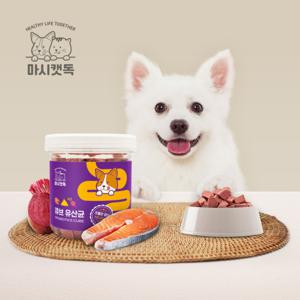 마시캣독 큐브 강아지 유산균 영양제 1통 20% 할인가