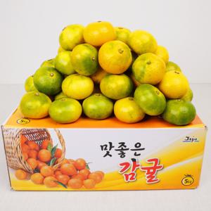 (신선집중) 감귤 제주직송 서귀포 노지감귤 4.5kg(2S-M)/로얄과