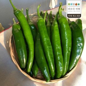 바르다야채 아삭한 오이고추(특) 1kg 오이맛고추