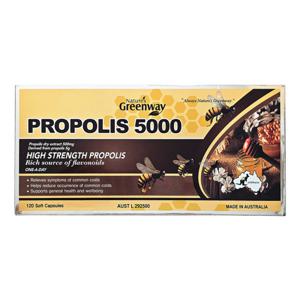 네이쳐스그린웨이 프로폴리스 5000mg 120정