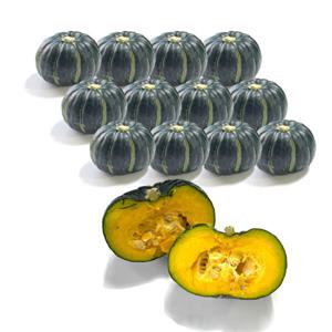 미니단호박 밤호박 보우짱 단호박요리 보우짱단호박 미니밤단호박 5kg