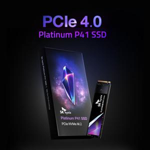 SK하이닉스 Platinum P41 NVMe SSD 1TB