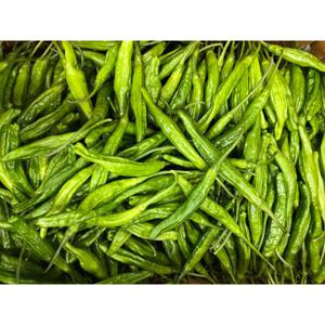 주말특가 믿고먹는 국내산 꽈리고추 (특) 1kg