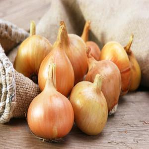 율이네 국내산 양파 무안 햇양파(특/요리용) 5kg