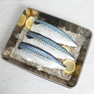 노르웨이 손질 고등어 대사이즈 5팩