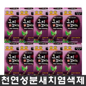 오디코디앤파우치형10박스40회구성