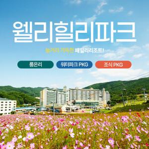 웰리힐리파크 가을시즌 객실PKG/웰리힐리파크/웰리힐리리조트/웰리힐리숙박 (~12/11)