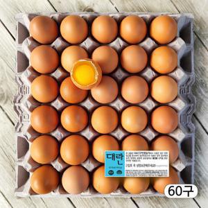 대란 60구 HACCP농가 당일산란 농장직송 달걀 생계란 (3120g)