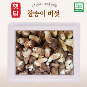 햇담 참송이버섯 B급이하 가정형 500g 1kg 농협에 납품하는 무농약 이천 참송이버섯