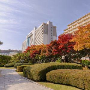 |숙박세일|소노벨 비발디파크 B.C(강원 리조트/홍천/양양/인제/철원/리조트)